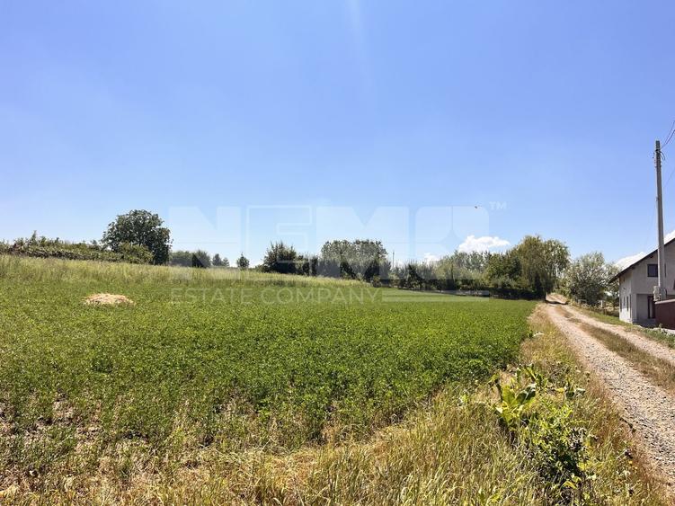 Teren agricol intravilan de 2526 mp, în Tișăuți