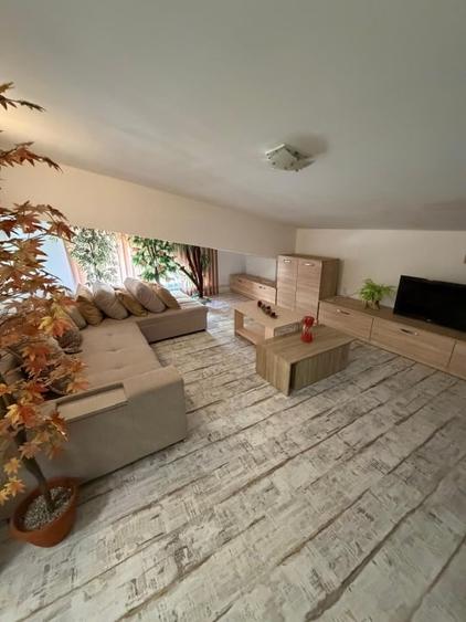 Apartament cu 2 camere decomandat, mobilat în Brazda lui Novac