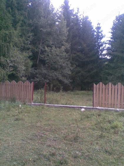 Teren de 1000 mp, în Scutaru