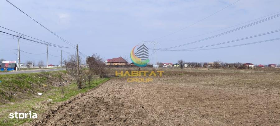 Teren de 10000 mp, în Frumușani