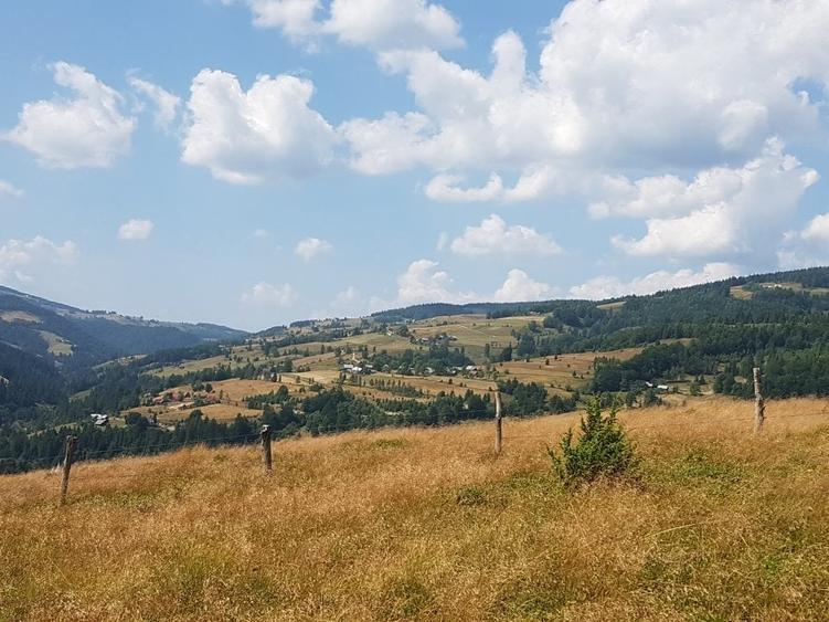 Teren Construcții extravilan de 7200 mp, în Arieșeni