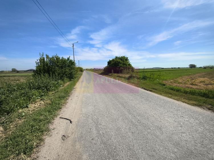 Teren Construcții intravilan de 4770 mp, în Dărăști-Ilfov