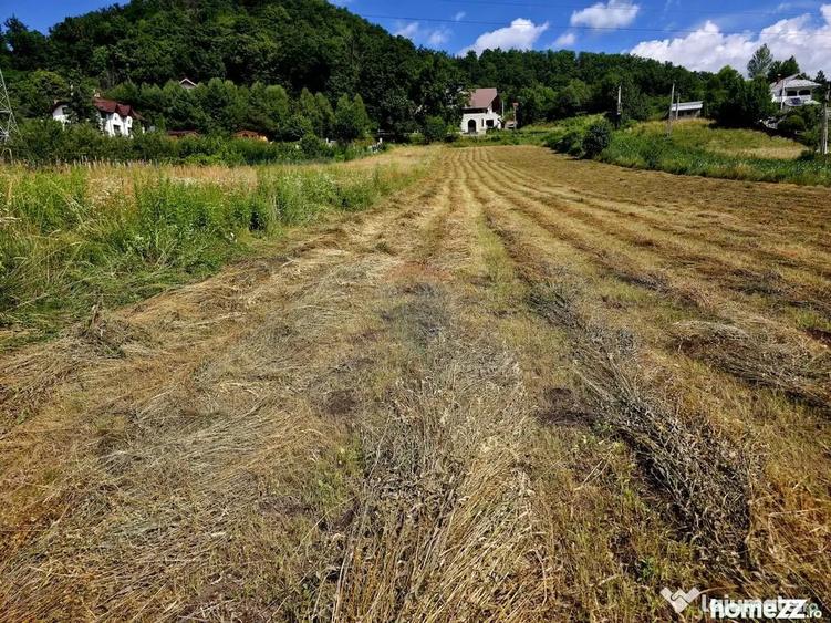 Teren în Viișoara