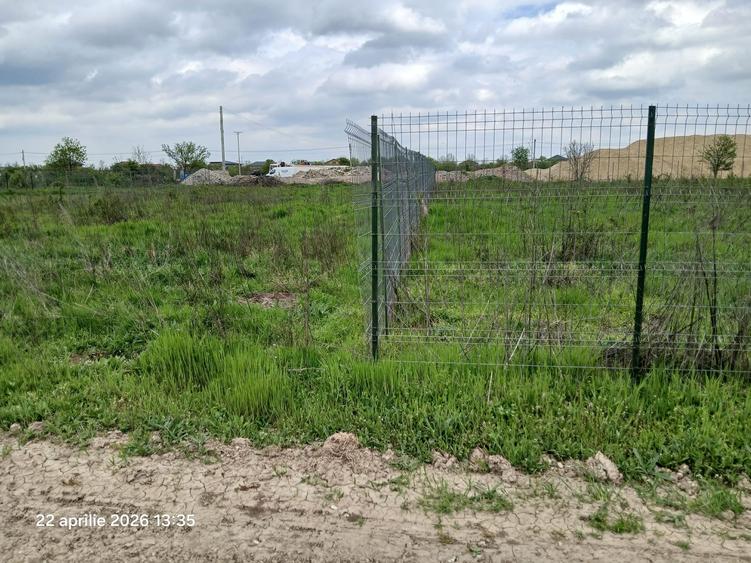 Teren Construcții intravilan de 900 mp, în Cernica