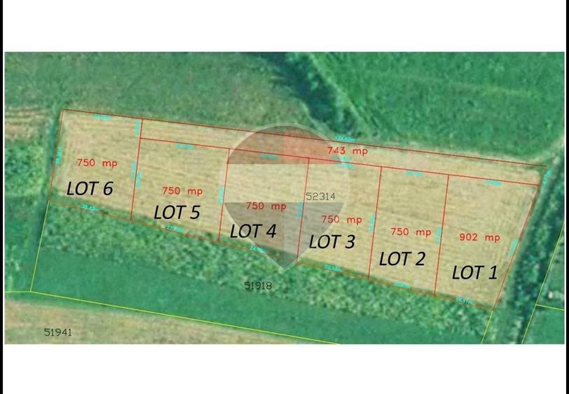 Teren Construcții intravilan de 902 mp, în Coltău