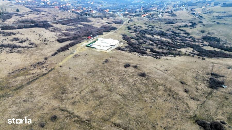 Teren de 67500 mp, în Roșia
