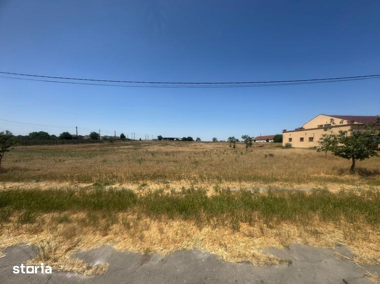Teren de 90000 mp, în Satchinez
