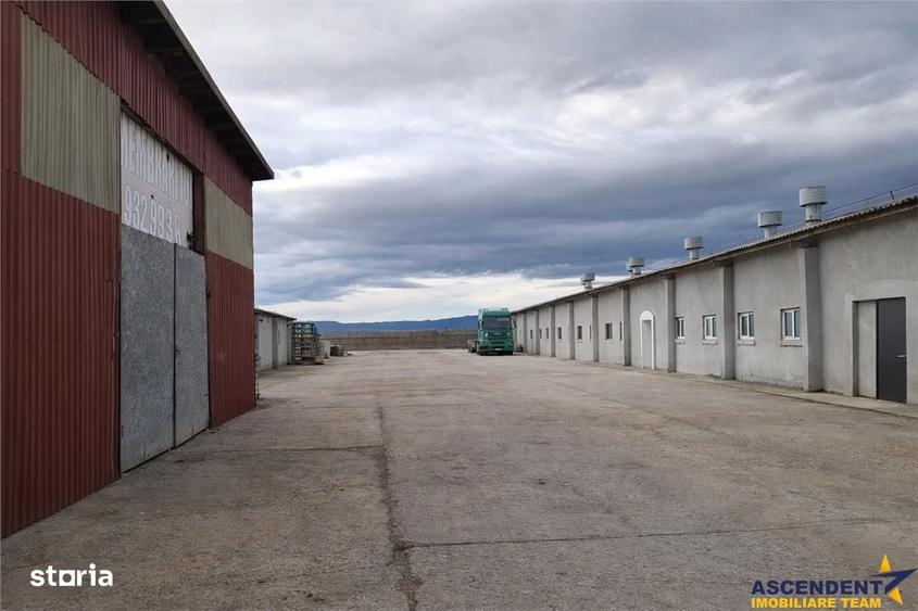 Spațiu comercial, de 800 mp, în Colonia Bod