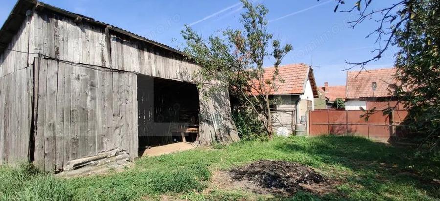 Casa mare cu gospodarie completa Belin?, jude?ul Timi? teren 4.900 mp - 13