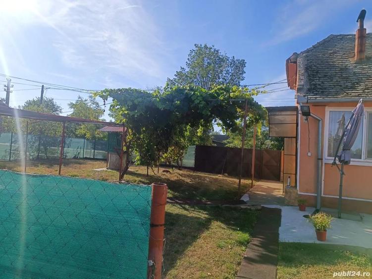 Vand sau schimb cu apartament casa caramida+ vaiuga + teren pentru casa in com. Livezile jud.Timi?. - 2