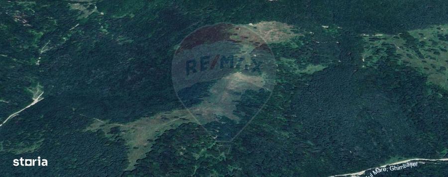 COMISION 0% | Teren 23.000 mp | Extravilan | Rasnov - Paraul rece - 1