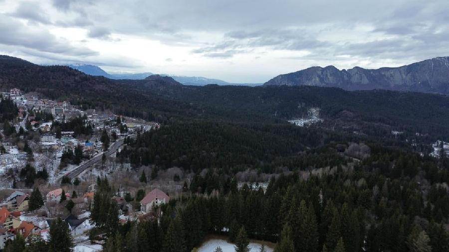 Teren intravilan 3.500 mp Cioplea - Predeal - 6