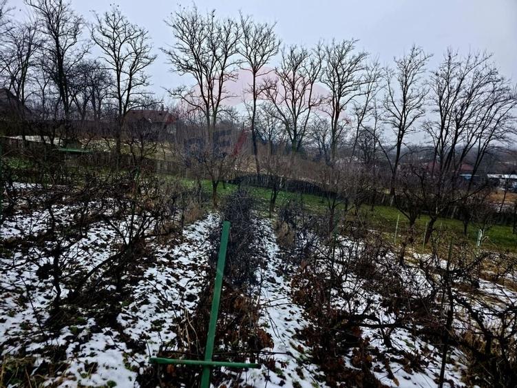 Teren intravilan 4,516mp Doina - 1
