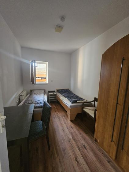 Proprietate speciala Dumbravita - casa individuala !! - 11