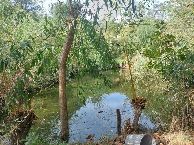 PROPRIETATE SUPERBA IN BIBIRESTI - 6