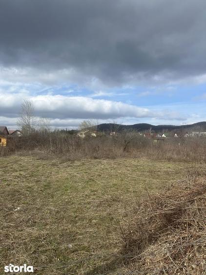 BANESTI - teren intravilan - 1035mp - 50 Euro/mp - 4