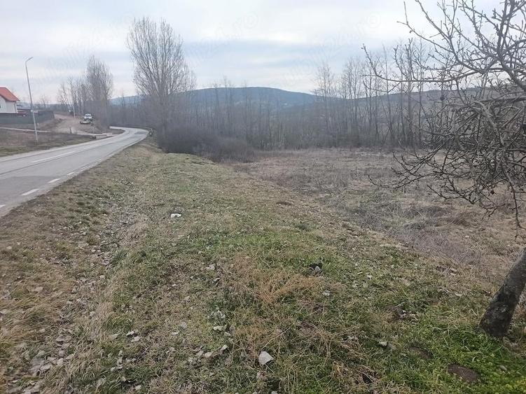 Teren intravilan cu PUZ aprobat - 3