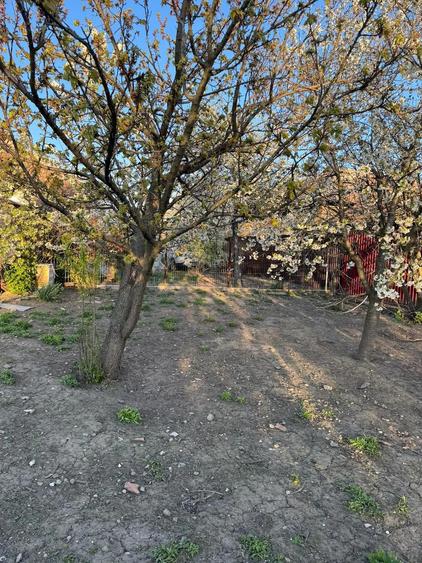 Vand casa cu gradina in Vanju-Mare jud. MH, situata intr-o zona buna si linistita a orasului. - 7