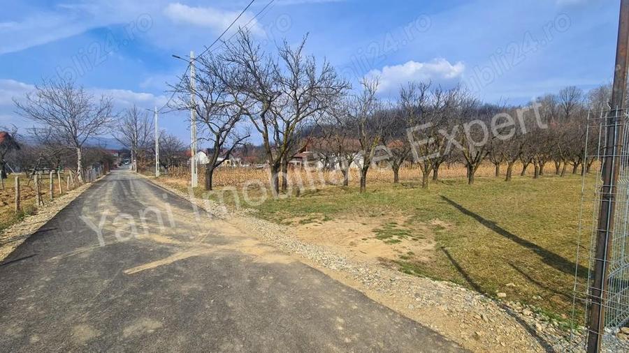 Teren de vanzare in comuna Albe?tii de Arge?, jude? Arge?. - 1