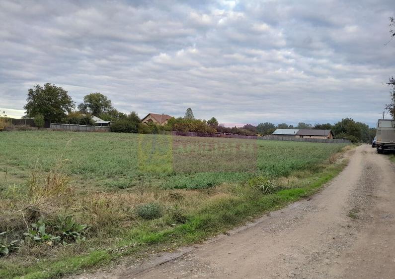 COSERENI( il ) - TEREN 2K MP DE VANZARE (52 M DESCHIDERE ... - 6