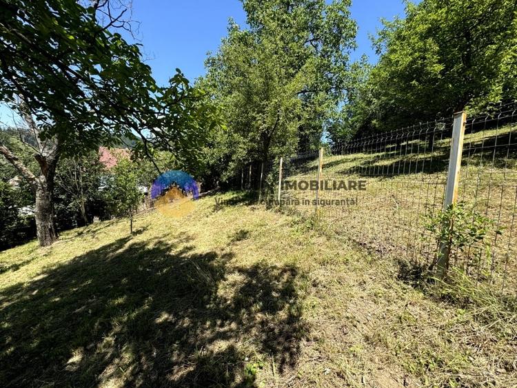 Teren unicat in Piatra Neamt - 10