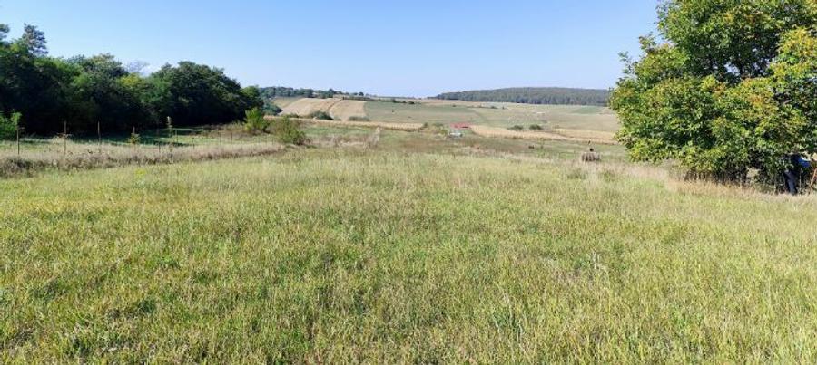 Vand teren pentru constructie in Vechea- Chinteni - 3