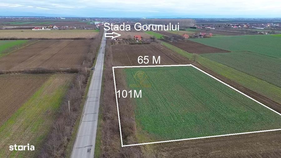 Teren 6600MP Cu Front Stradal 101 M La Intrare in Lazuri Str Botizului - 8