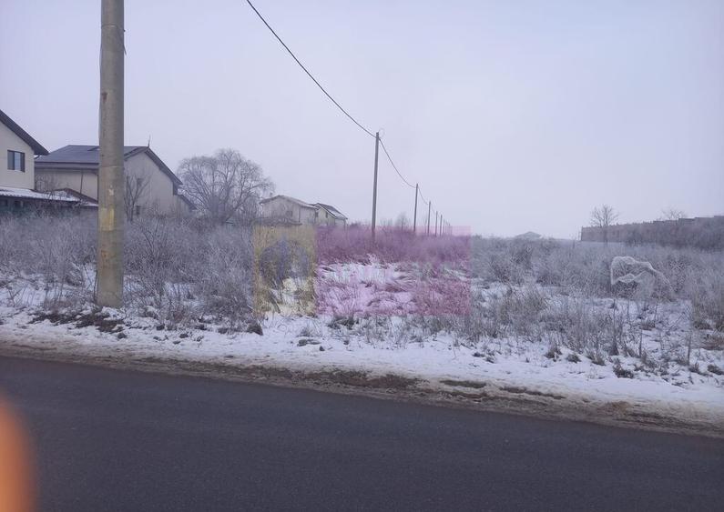 Teren Domnesti 12300 mp de vanzare sau asociere - 5