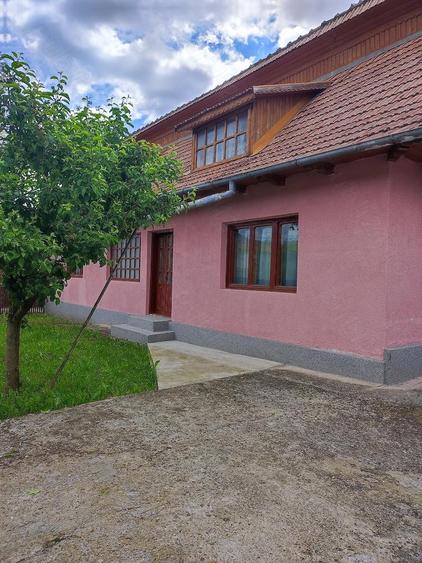 vand casa ,cu teren si livada - 2