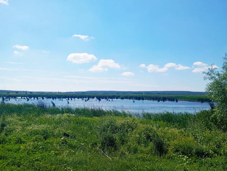 Vand teren intravilan 4000MP cu  dechidere la Delta Neajlovului, Comana GR - 1