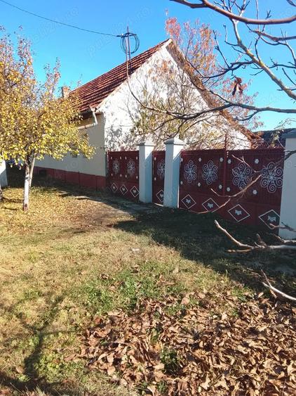 Casa de vanzare la 50km de Timisoara - 2