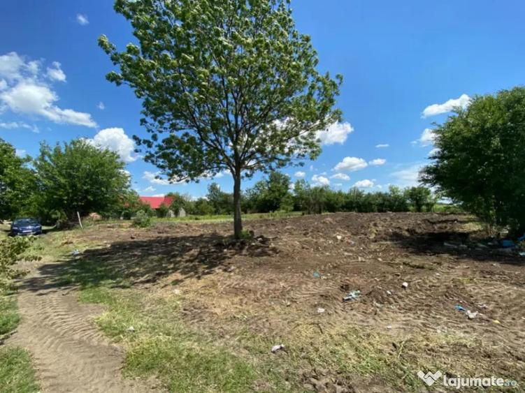 Teren Intravilan 1000mp RADOVAN - 2