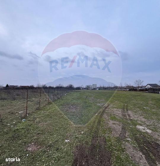 Teren 2.819 mp in Sectorul 5, sub 100 EUR/mp, dezvoltare rezidentiala - 8