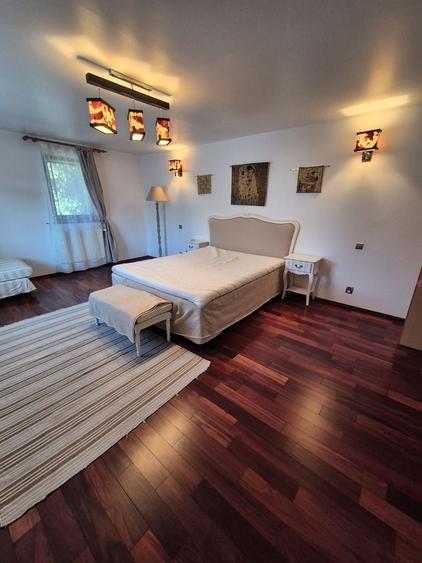 Vilă 4 camere Iancu Nicolae: Grădină proprie 500 mp, garaj și terasă - 5