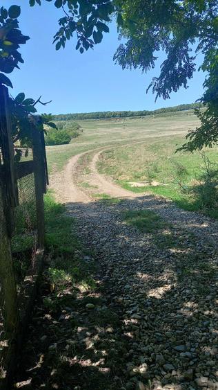 Vand casa in sat Feldioara jud.Cluj - 5