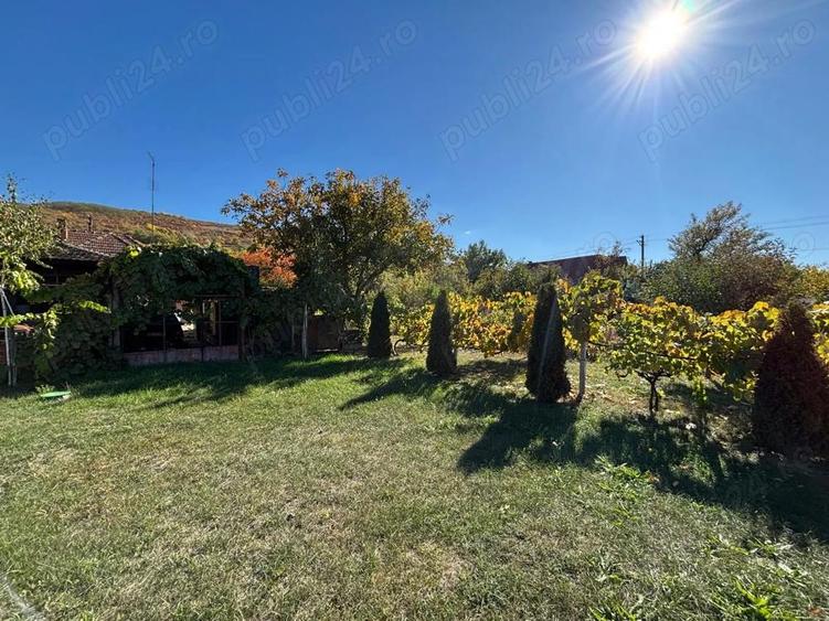 Casa de vanzare in Cuvin - 7
