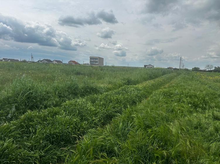 Constanta - Tuzla  - teren intravilan 1000mp - 8
