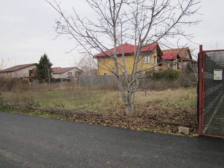 Drumul Targului-Stelelor - 15