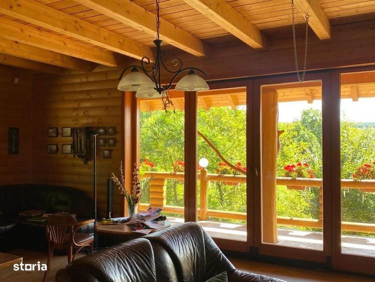 Domeniu exclusivist 17.000 mp | Vila luxury cu piscina & SPA - 14