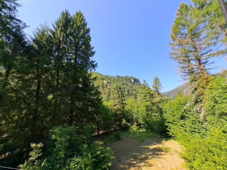 RECO Teren intravilan  Boga - 3