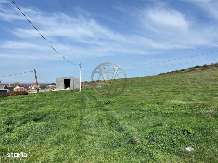 Teren intravilan, Betfia, Bihor - 1