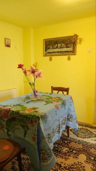 Tartasesti – casa si teren 2.000 mp de vanzare - 10
