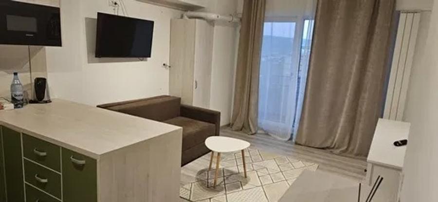 Apartament cu 1 camera, decomandat, zona Tatarasi - 3