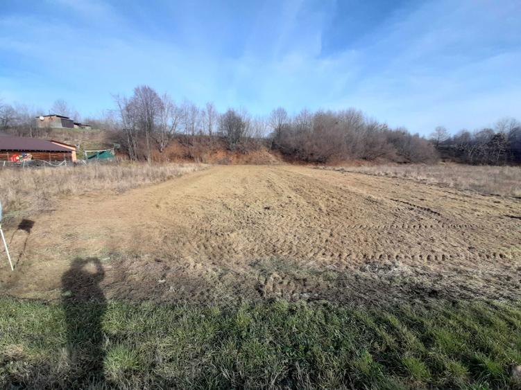 Teren 5000 mp extravilan, langa Pastravaria Cracaoani, 4 euro neg - 4