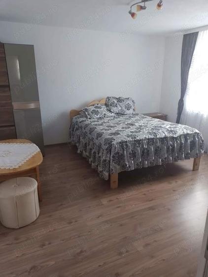 Casa sau Casa de vacanta Transalpina Sugag Alba - 7