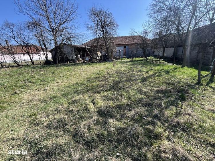 Casa de vanzare sat Petrani - 7