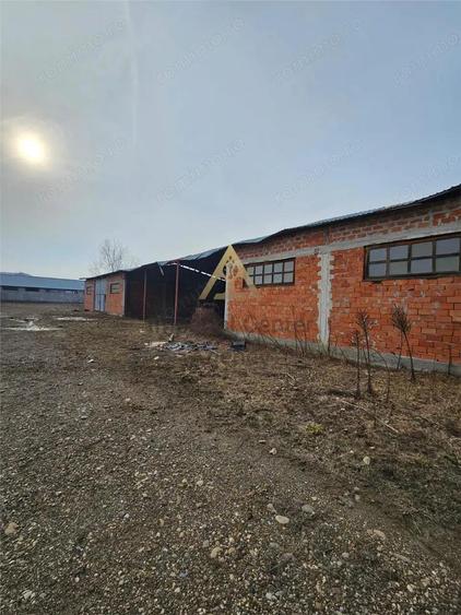 Teren Platou Premium, 57.662 mp, Deschidere Generoas #259; 400 ml la DJ One #537;tiAdjud - 1