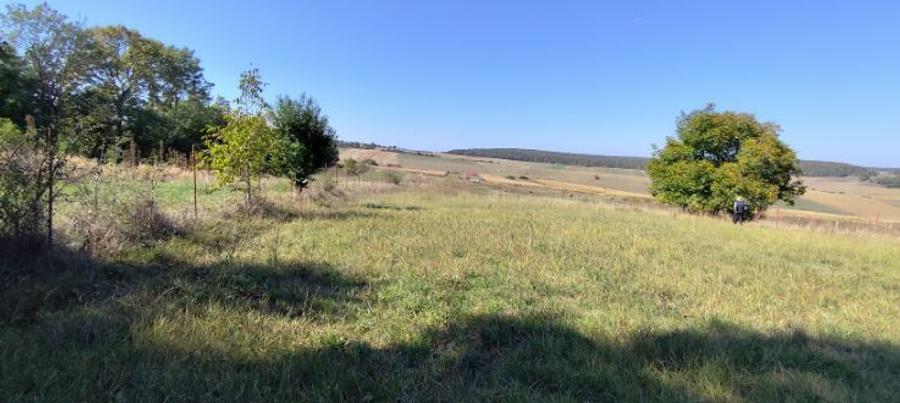 Vand teren pentru constructie in Vechea- Chinteni - 1