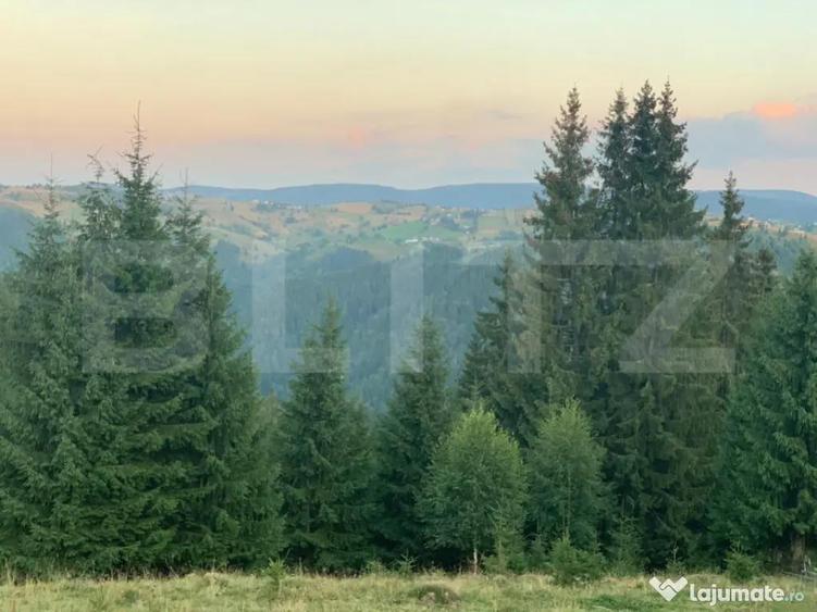 Teren intravilan, front la strada, 3321mp, utilitati, Marise - 4