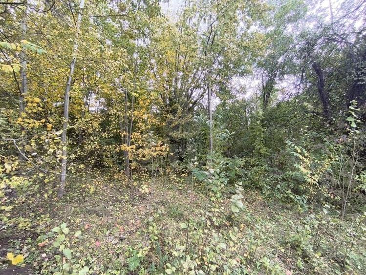 TEREN INTRAVILAN// CORNU DE JOS - 5